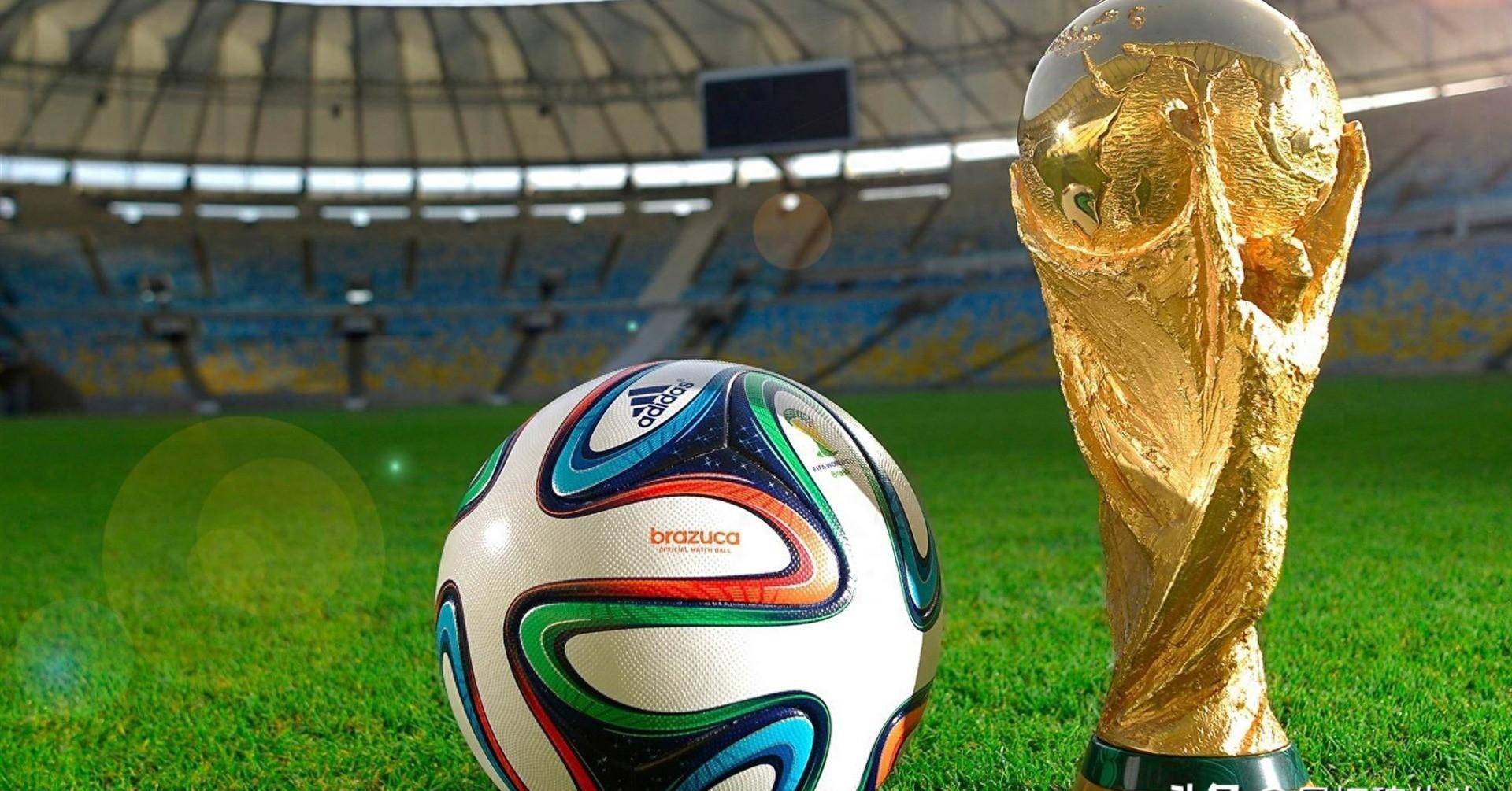 添了更多的 添了更多的