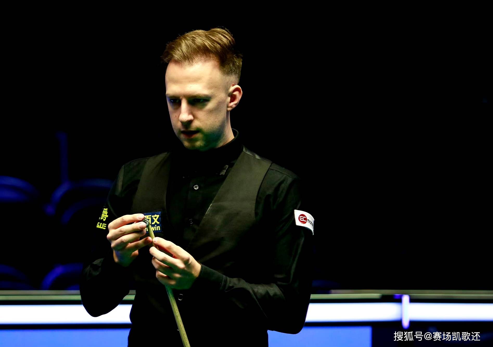 的观赏性 的观赏性