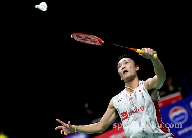 者的关注 者的关注